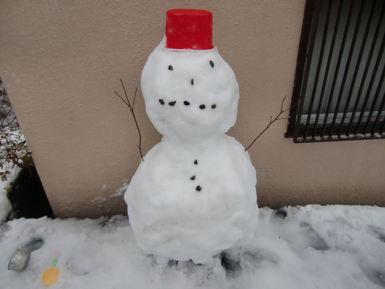 東京大雪